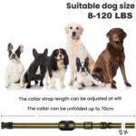 Control remoto para perros con collar de descarga eléctrica., Yellow One-To-One - Imagen 3