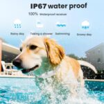 Dispositivo de control remoto para ladridos de perros, recargable, resistente al agua, con descarga eléctrica., One To Two - Imagen 5