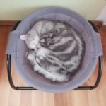 Silla hamaca universal Pet Four Seasons con moisés extraíble, Plush Pink - Imagen 2
