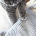 Silla hamaca universal Pet Four Seasons con moisés extraíble, Mesh Gray - Imagen 3