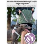 Correa para perro de cadena P de uno a dos - Imagen 5