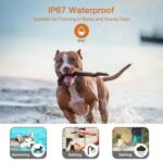 Collar de entrenamiento para perros T740 recargable con control remoto, resistente al agua IP67., T740 - Imagen 7