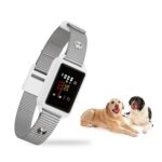 Collar antiladridos inteligente B801 sin descarga para perros con pantalla a color y sistema anti-activación accidental, resistente al agua IP68 y carga magnética., No-Shock